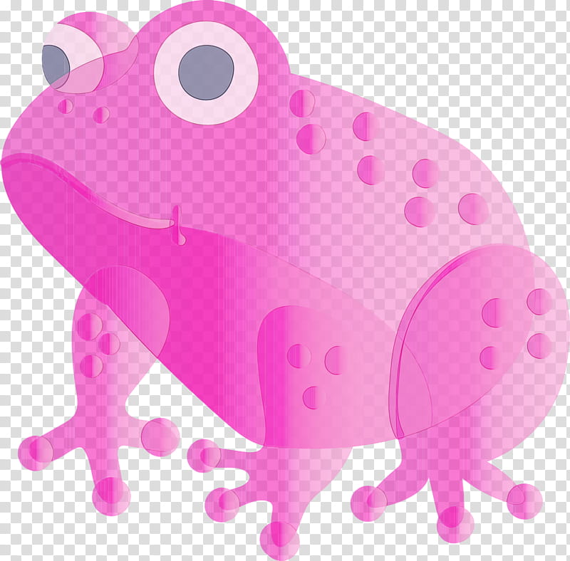 frog pink toad magenta true frog, Watercolor, Paint, Wet Ink, Anaxyrus, Tree Frog transparent background PNG clipart