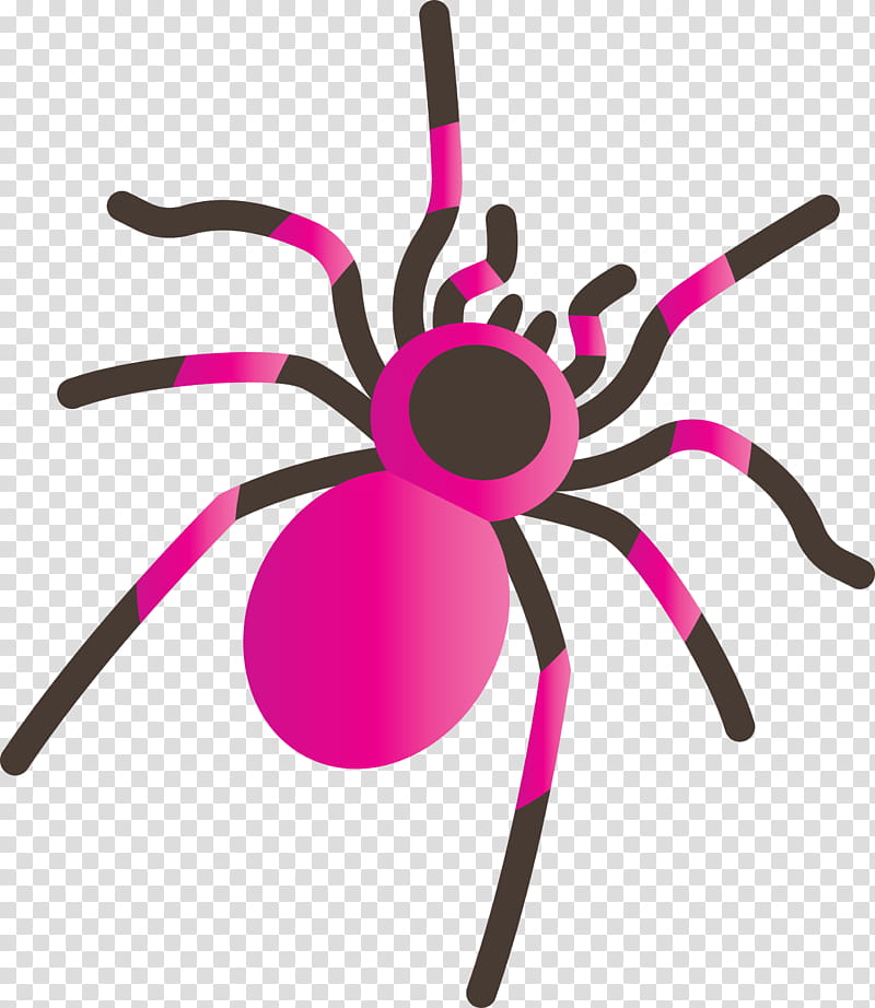 insect line, Cartoon Spider transparent background PNG clipart