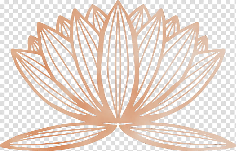 leaf symmetry line science plant structure, Watercolor, Paint, Wet Ink, Biology, Plants transparent background PNG clipart