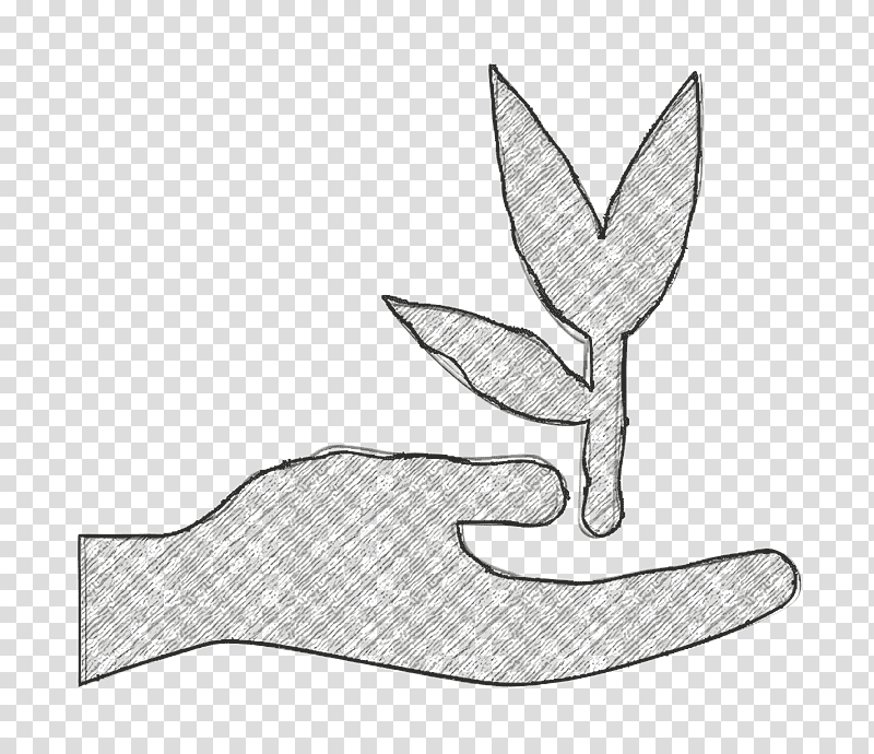 Herbal icon Hand and Leaf icon Relaxing resort icon, Nature Icon, Black And White
, Line Art, Angle, Tree, Mathematics transparent background PNG clipart