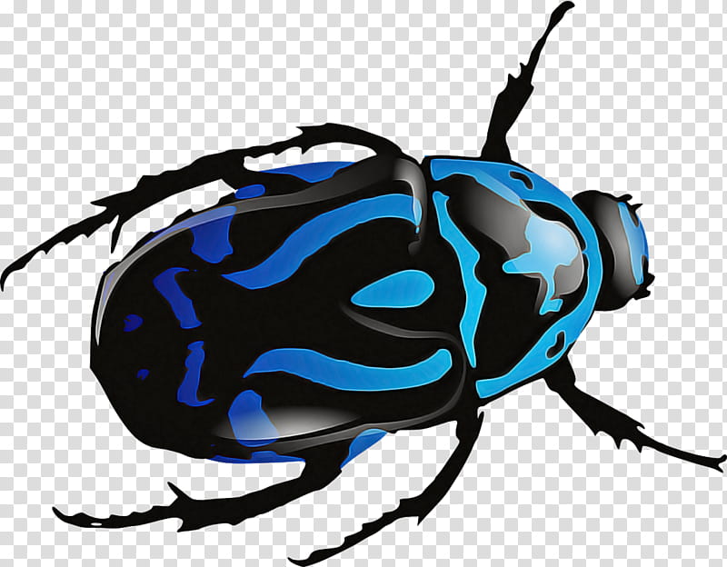 beetles scarabs ladybird beetle green june beetle dung beetle, Blog, Insect transparent background PNG clipart
