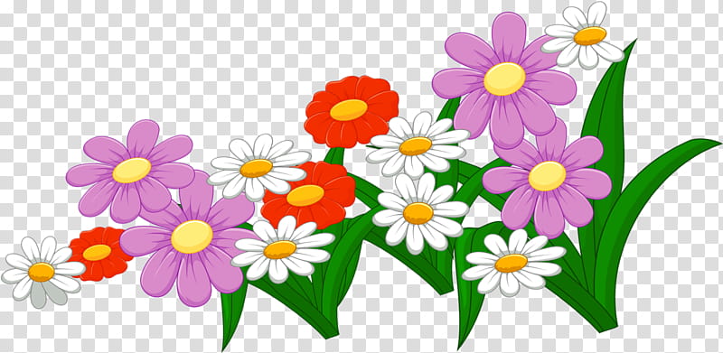 Flowers, Common Daisy, GRASS GIS, Daisy Family, Petal, Plant, Chamomile, Wildflower transparent background PNG clipart