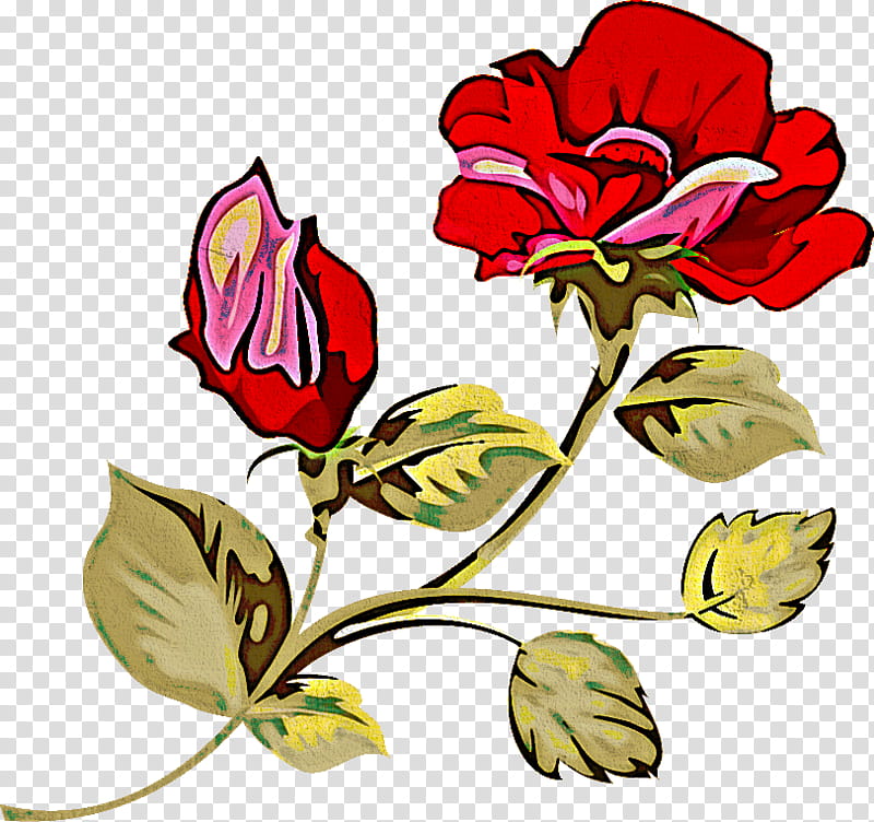 two flowers two roses valentines day, Plant, Petal, Pedicel, Bud, Cut Flowers, Rose Family, Plant Stem transparent background PNG clipart
