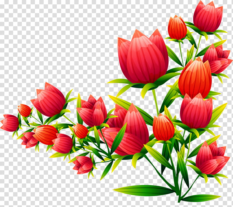 Drawing Of Family, Floral Design, Flower, Tulip, Decorative Corners, Petal, Cut Flowers, Plant transparent background PNG clipart