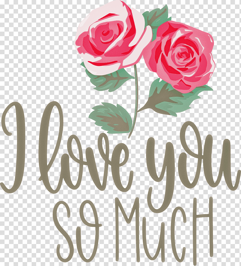I Love You So Much Valentines Day Love, Floral Design, Garden Roses, Cut Flowers, Flower Bouquet, Rose Family, Petal transparent background PNG clipart