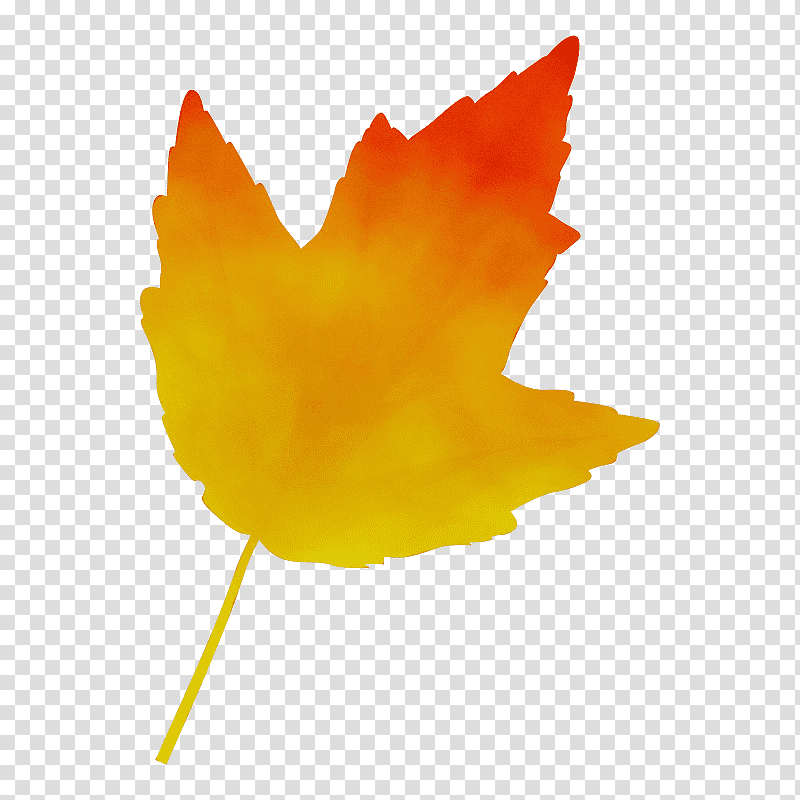 plant stem leaf flower petal maple leaf / m, Watercolor, Paint, Wet Ink, Maple Leaf M, Yellow, Tree transparent background PNG clipart