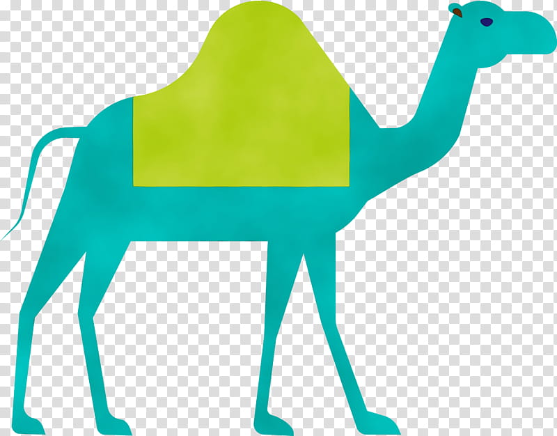 camel green arabian camel camelid animal figure, Ramadan, Arabic Culture, Watercolor, Paint, Wet Ink, Wildlife, Working Animal transparent background PNG clipart