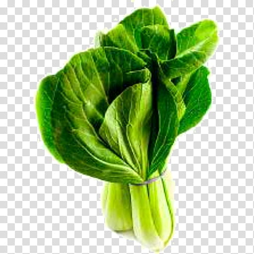 leaf vegetable green plant leaf vegetable, Food, Choy Sum, Flower, Komatsuna, Tatsoi, Romaine Lettuce, Spinach transparent background PNG clipart