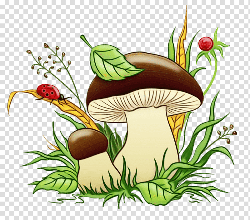 flower vegetable flowerpot mushroom, Watercolor, Paint, Wet Ink transparent background PNG clipart