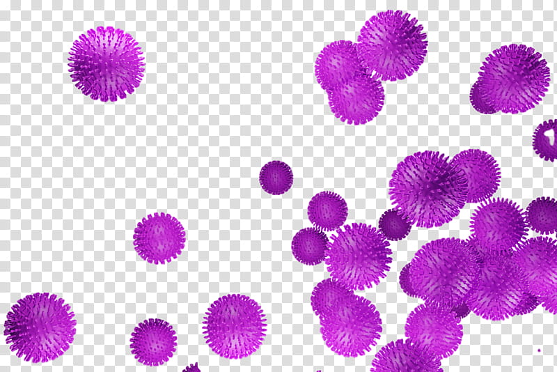 COVID19 Coronavirus Corona, Purple, Violet, Lilac, Pink, Magenta, Flower, Pollen transparent background PNG clipart