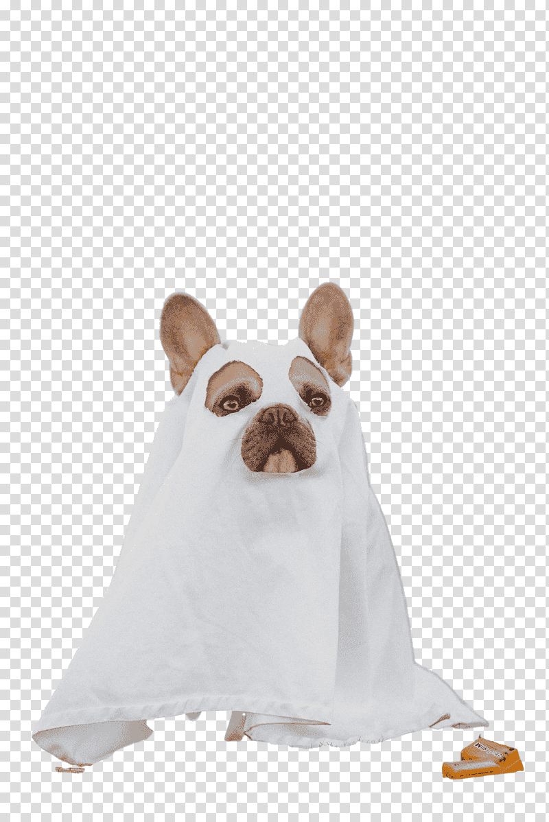 dog snout groupm textile, Breed, Nonsporting Group, Biology, Science transparent background PNG clipart