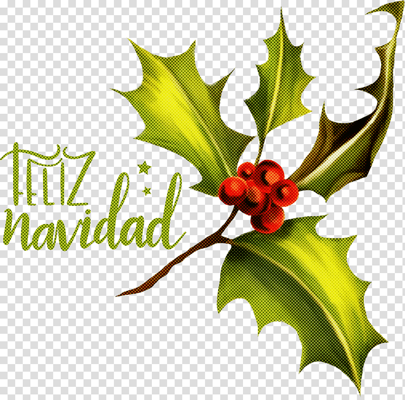 Feliz Navidad Merry Christmas, Aquifoliales, Common Holly, Japanese Holly, Winterberry, Leaf, Ilex Cornuta transparent background PNG clipart