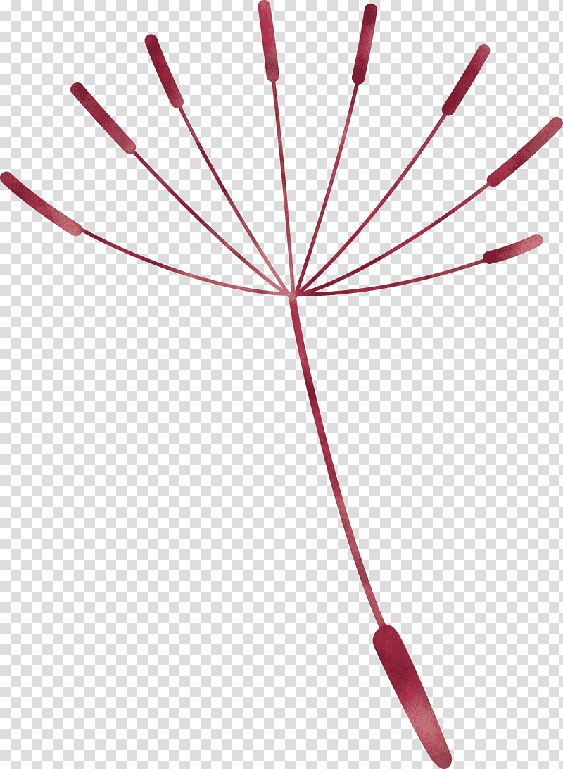 dandelion, Line, Red, Meter, Mathematics, Geometry transparent background PNG clipart