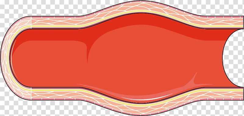 Heart, Artery, Coronary Arteries, Coronary Artery Bypass Surgery, Circulatory System, Cardiology, Aneurysm, Foam Cell transparent background PNG clipart
