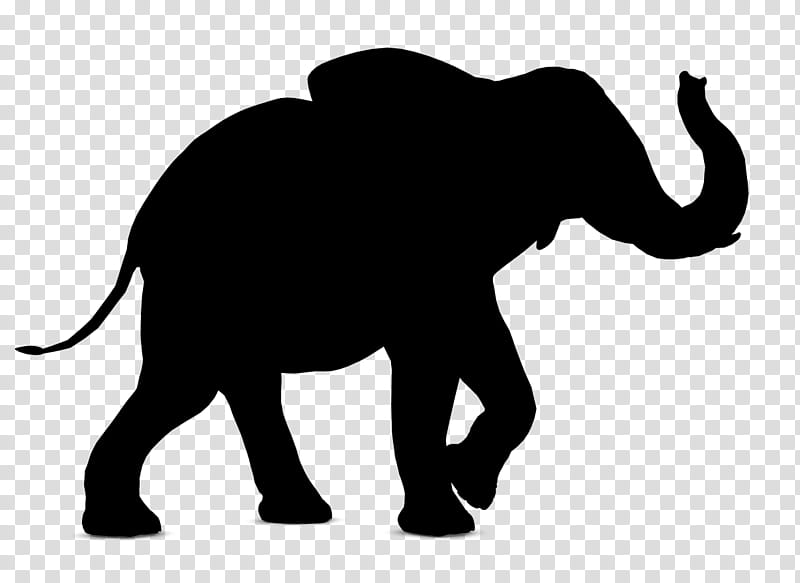 Indian elephant, Wildlife, African Elephant, Animal Figure, Silhouette, Snout, Tail, Temple transparent background PNG clipart