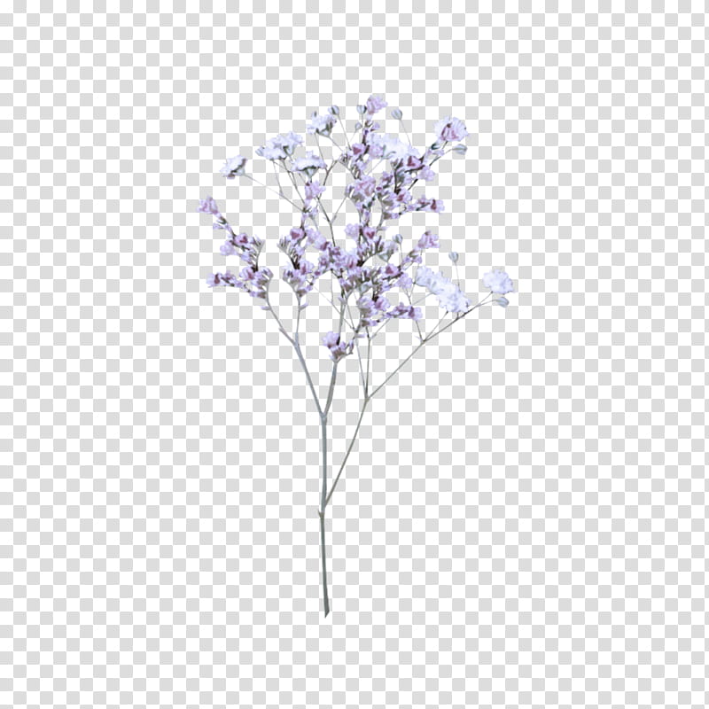 tree lilac branch plant purple, Leaf, Violet, Woody Plant, Twig, Flower, Plant Stem transparent background PNG clipart