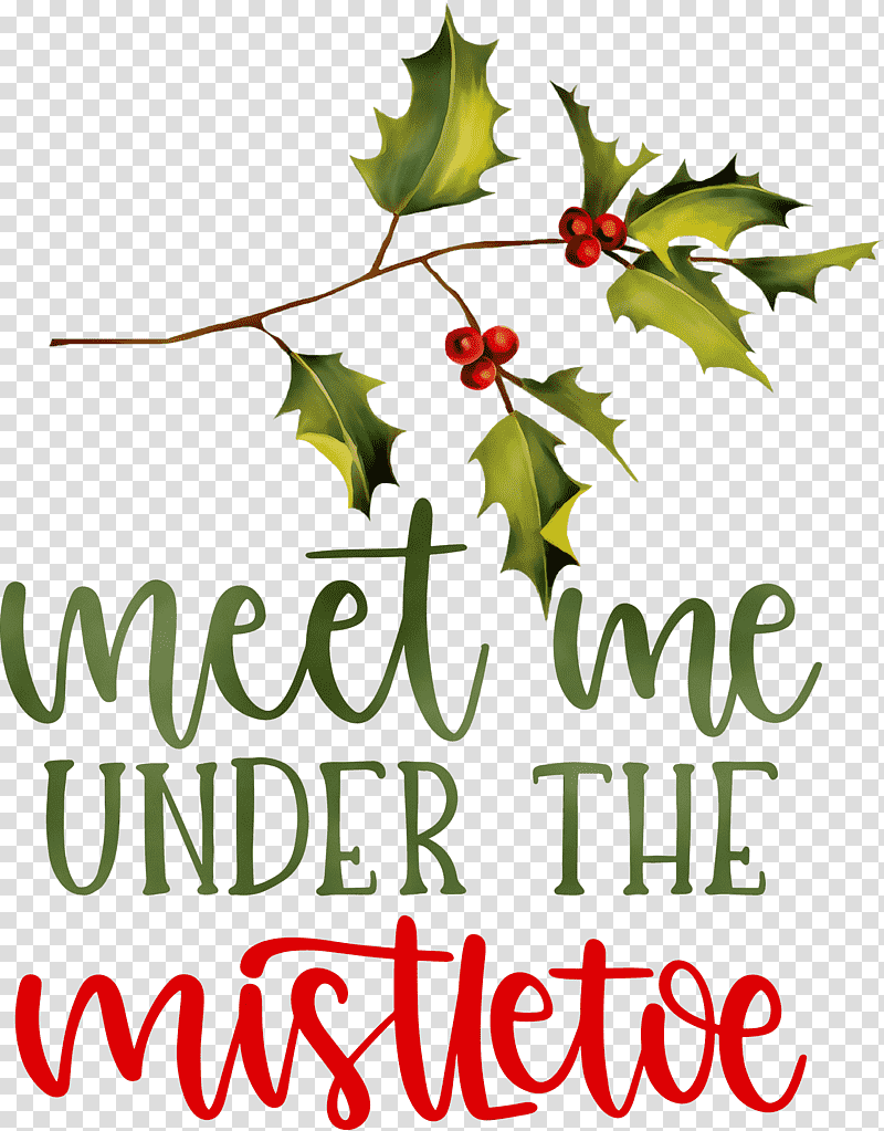 Christmas Day, Mistletoe, Watercolor, Paint, Wet Ink, Holly, Leaf transparent background PNG clipart