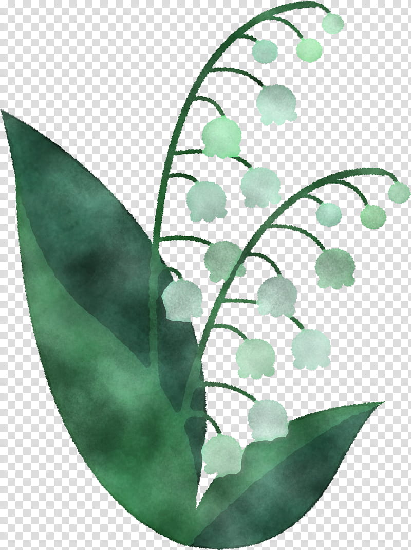 Floral design, Leaf, Plant Stem, Branch, Woody Plant, Tree, Laceleaf, Oak transparent background PNG clipart
