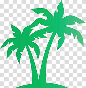 Palm tree beach tropical, Leaf, Plant Stem, Palm Trees, Succulent Plant, Shrub, Branch, Grasses transparent background PNG clipart thumbnail