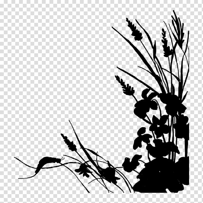 Flower Line Art, Visual Arts, Email, Doula, Twig, Flora, Leaf, Plant transparent background PNG clipart