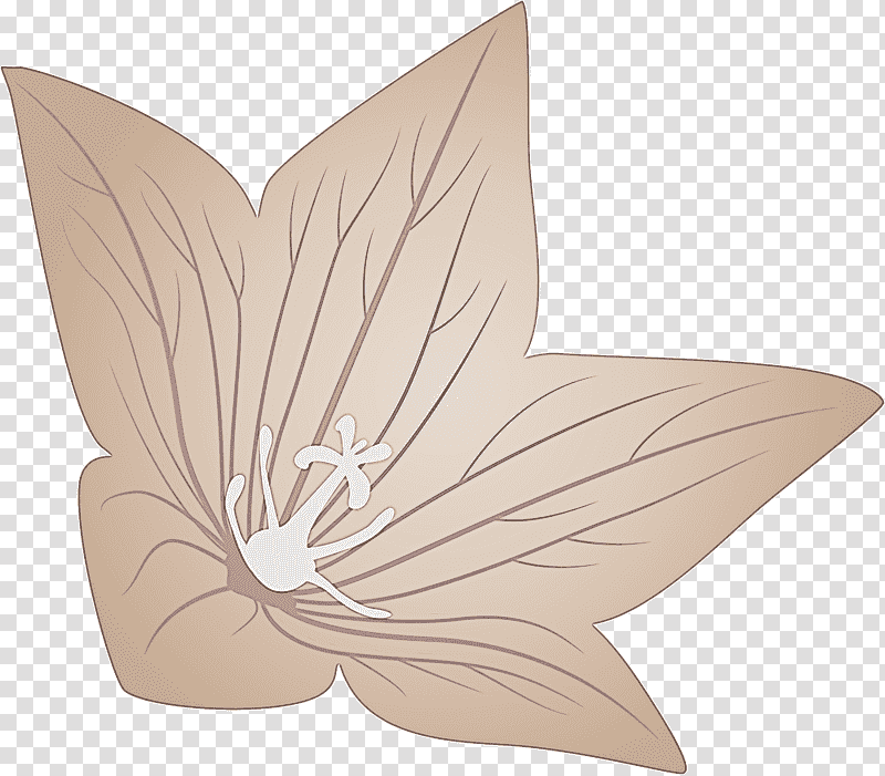 balloon flower, Butterflies, Petal, Lepidoptera transparent background PNG clipart