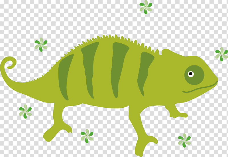 Chameleon, Frogs, Lizards, Chameleons, Cartoon, Green, Tail transparent background PNG clipart