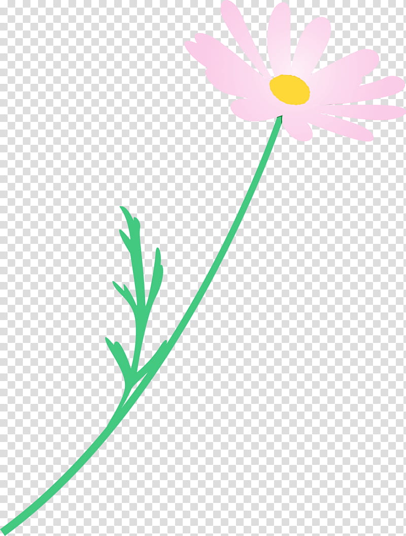 Daisy, Marguerite Flower, Spring Flower, Watercolor, Paint, Wet Ink, Chamomile, Pedicel transparent background PNG clipart