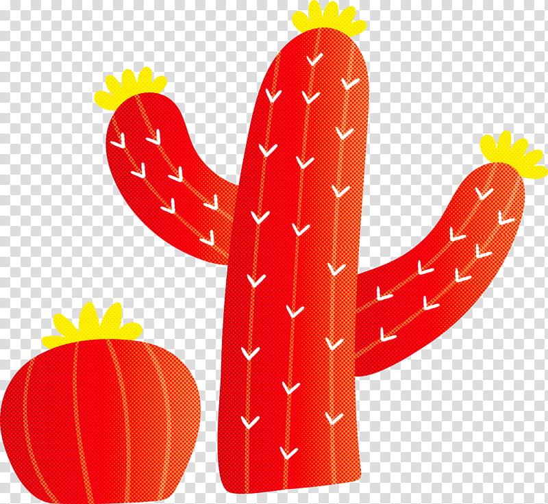 Mexico elements, Cactus, Watercolor Painting, Drawing, 3D Computer Graphics, Motion Graphics transparent background PNG clipart