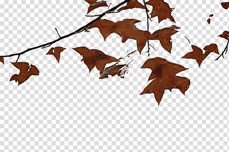 leaf m-tree bat-m branching tree, Mtree, Batm, Plant Structure, Biology, Science, Plants transparent background PNG clipart
