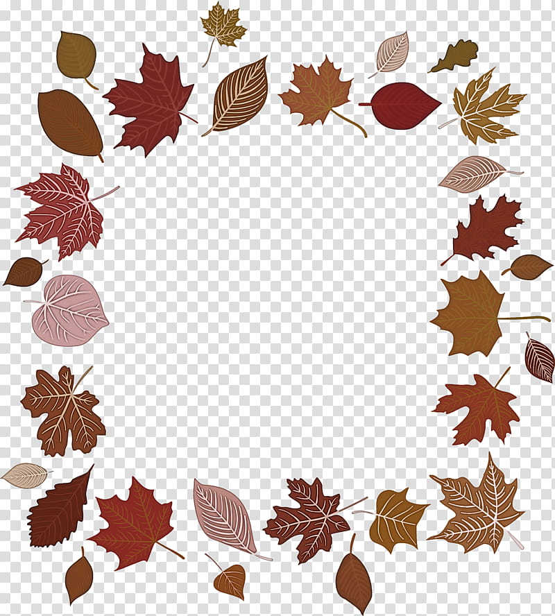 Autumn Frame Autumn Leaves Frame Leaves Frame, Leaf, Floral Design, Maple Leaf, Petal, Tree, Plant Structure, Science transparent background PNG clipart