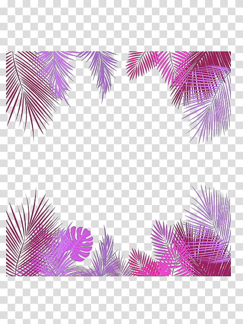 Coconut Tree, Palm Trees, Leaf, Tropics, Plants, Sticker, Branch, Borassus transparent background PNG clipart