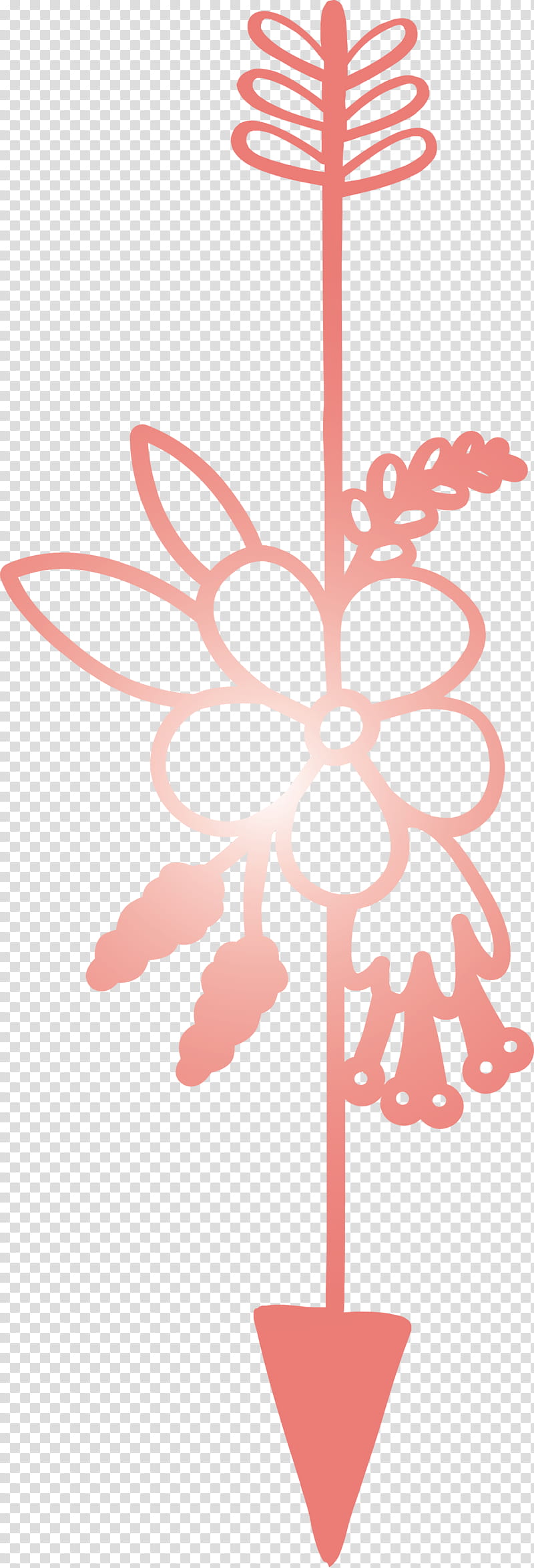 boho arrow flower arrow, Plant, Butterfly transparent background PNG clipart