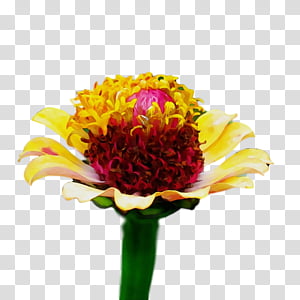 Floral design, Watercolor, Paint, Wet Ink, Annual Plant, Flower Bouquet, Flowerpot, Cut Flowers transparent background PNG clipart thumbnail