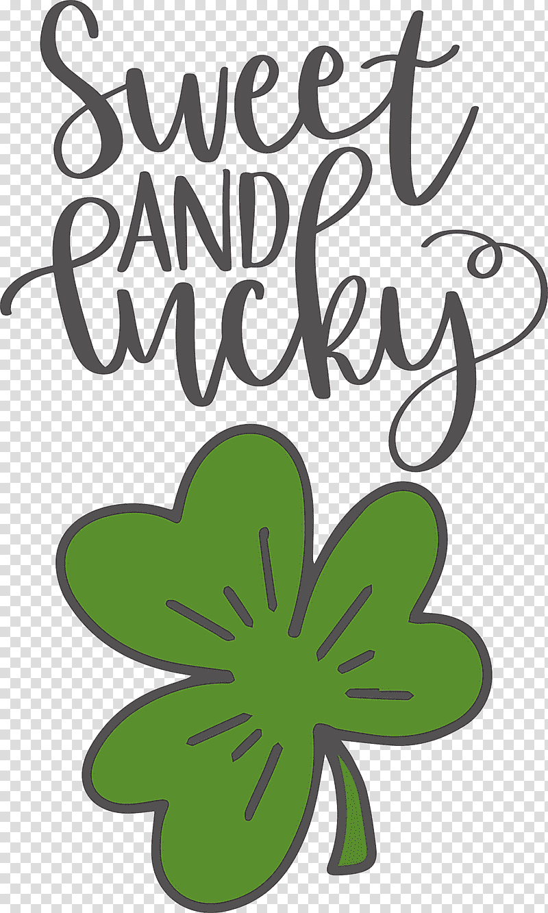 Lucky clover. St Patricks Day shamrock vector illustration. Four