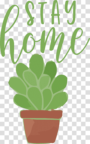 STAY HOME, Plant Stem, Leaf, Flower, Flowerpot, Green, Tree transparent background PNG clipart thumbnail