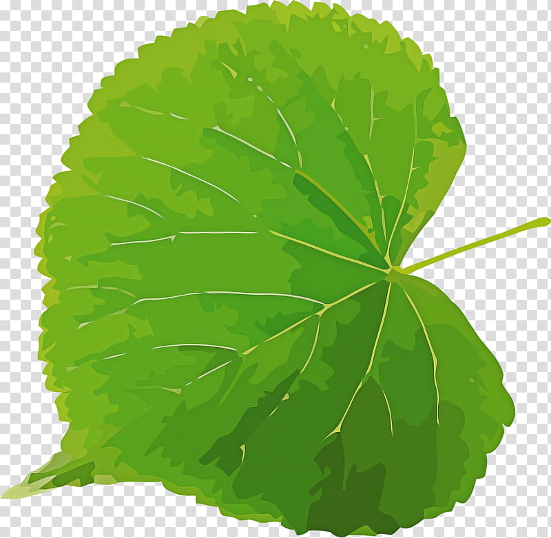 Bodhi Day, Leaf, World, Grape Leaves, Telecommunications, Plant Stem, Computer Science transparent background PNG clipart