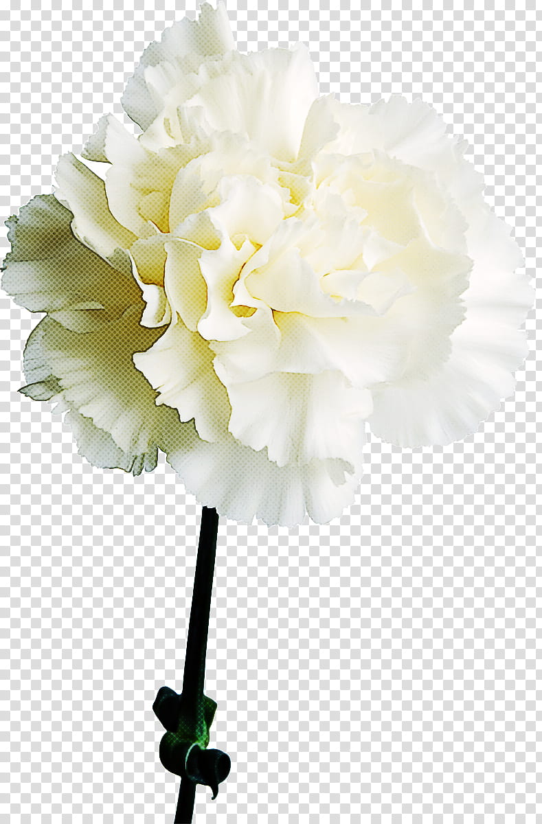 Artificial flower, Cut Flowers, White, Plant, Petal, Carnation, Bouquet, Peony transparent background PNG clipart