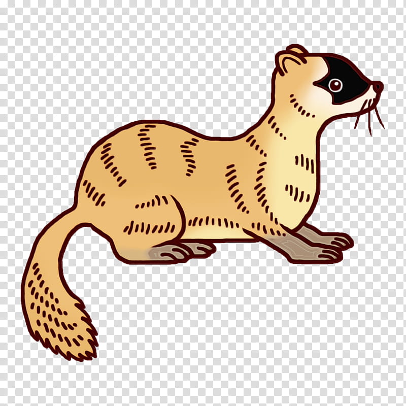 whiskers cat mustelids dog tail, Watercolor, Paint, Wet Ink, Science, Biology transparent background PNG clipart