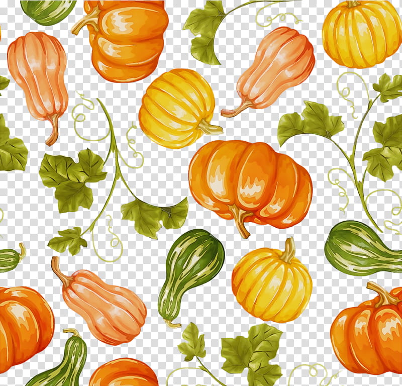 squash gourd winter squash calabaza natural foods, Thanksgiving, Autumn, Harvest, Watercolor, Paint, Wet Ink, Vegetable transparent background PNG clipart