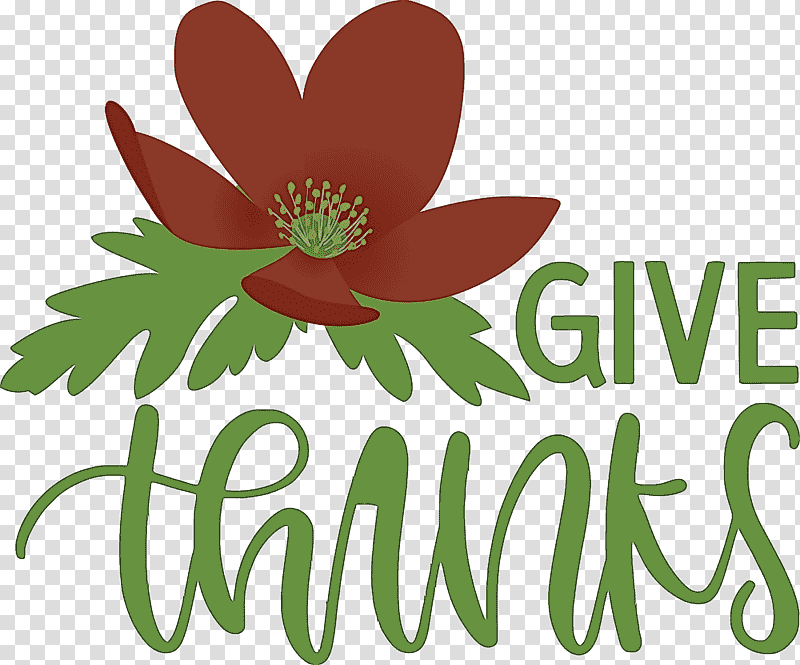 Thanksgiving Be Thankful Give Thanks, Cut Flowers, Petal, Logo, Flora, Meter, Plants transparent background PNG clipart