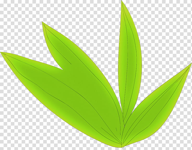 simple leaf simple leaf drawing simple leaf outline, Plant Structure, Plants, Biology, Science transparent background PNG clipart