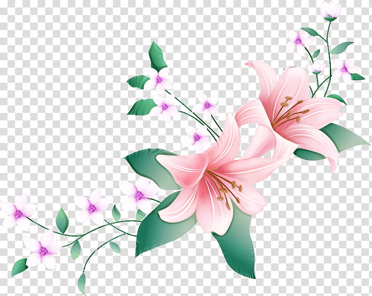 Lily Flower, Frame, Floral Design, Floral Frame, Pink Flowers, Plants, Flower Bouquet, Arumlily transparent background PNG clipart