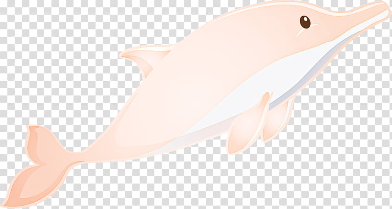 pink cetacea dolphin fish whale, Watercolor Dolphin, Beluga Whale, Tail, Animal Figure transparent background PNG clipart