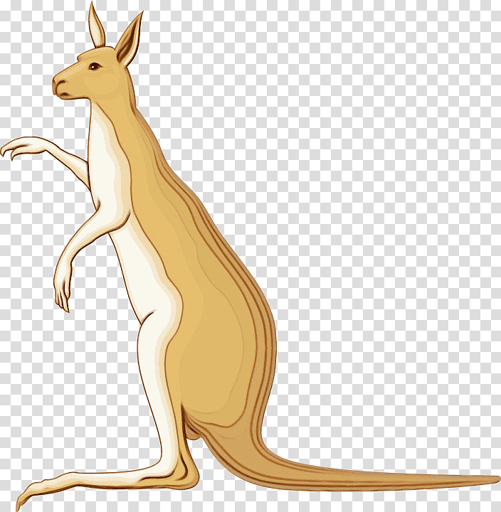 macropods kangaroo hares marsupials tail, Watercolor, Paint, Wet Ink, Meter, Cartoon, Animal Figurine transparent background PNG clipart