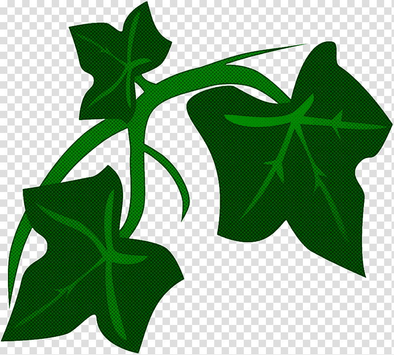 leaf plant stem flower tree symbol, Branching, Biology, Science, Plant Structure transparent background PNG clipart