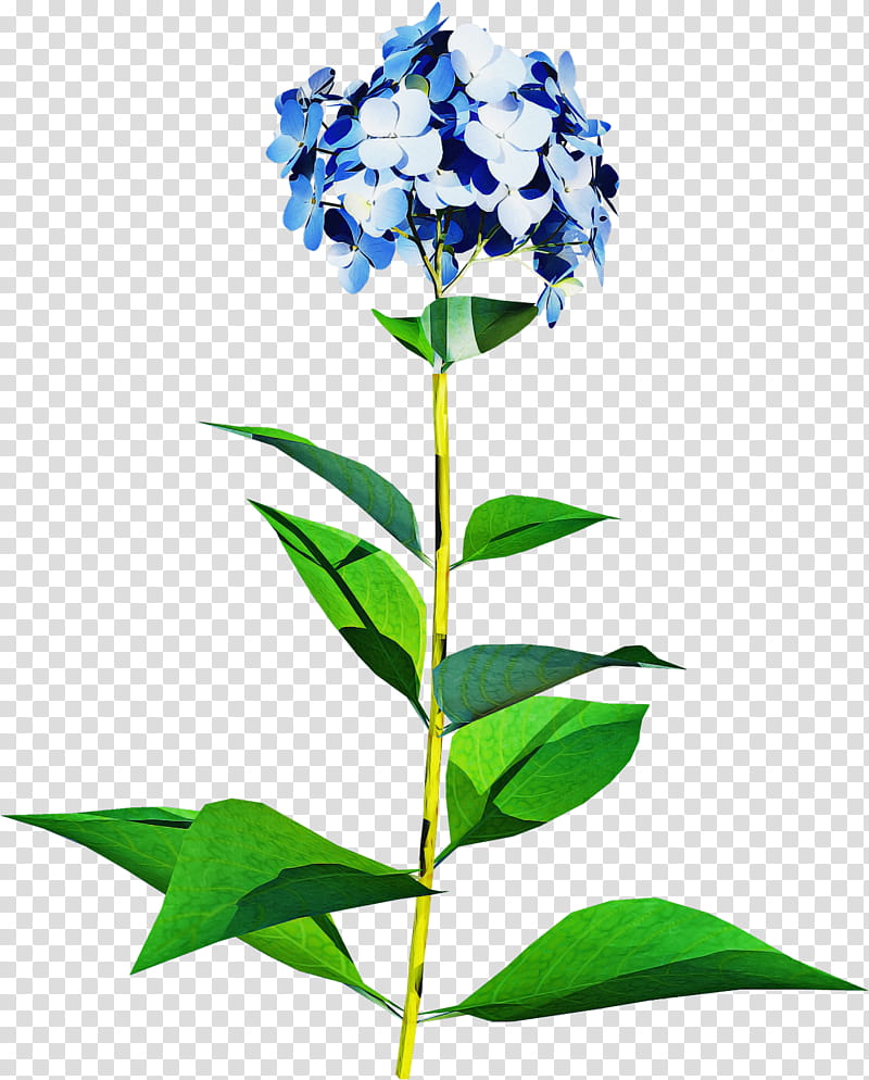 Hydrangea Summer Flower, Common Lilac, Plant Stem, Shrub, French Hydrangea, Floral Design, Violet, Artificial Flower transparent background PNG clipart