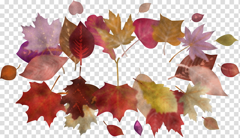 Autumn Frame Autumn Leaves Frame Leaves Frame, Leaf, Branch, Petal, Frame, Maple Leaf, Bonsai, Plants transparent background PNG clipart