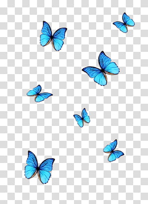 turquoise font line, Watercolor, Paint, Wet Ink transparent background PNG clipart thumbnail