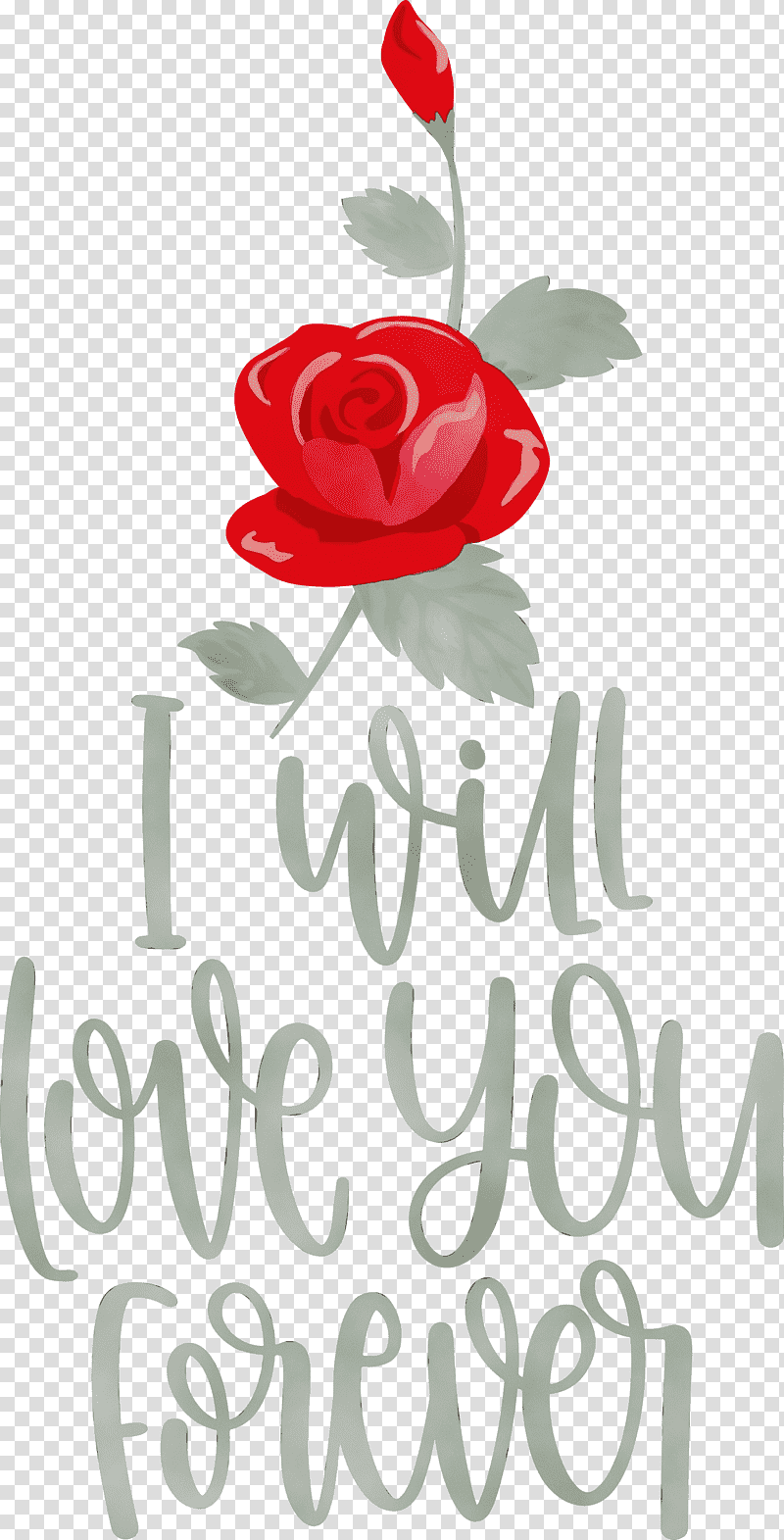 Floral design, Love You Forever, Valentines Day, Watercolor, Paint, Wet Ink, Garden Roses transparent background PNG clipart