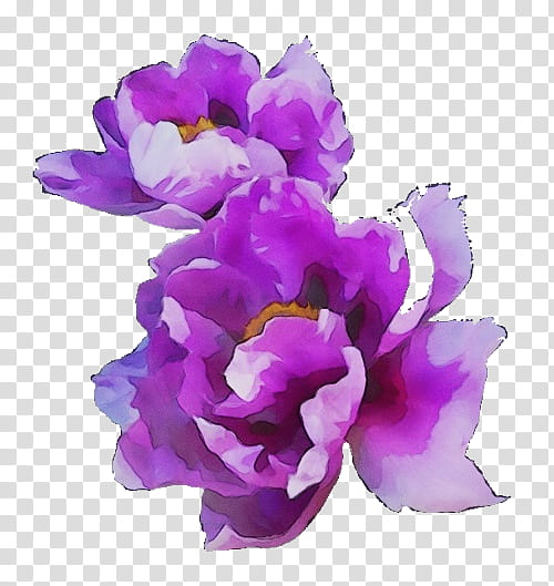 Artificial flower, Watercolor, Paint, Wet Ink, Orchids, Cattleya Orchids, Dendrobium, Irises transparent background PNG clipart